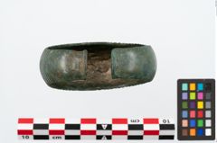Foto von Bronzemelonenarmreif (NHMW-PRAE-025565)